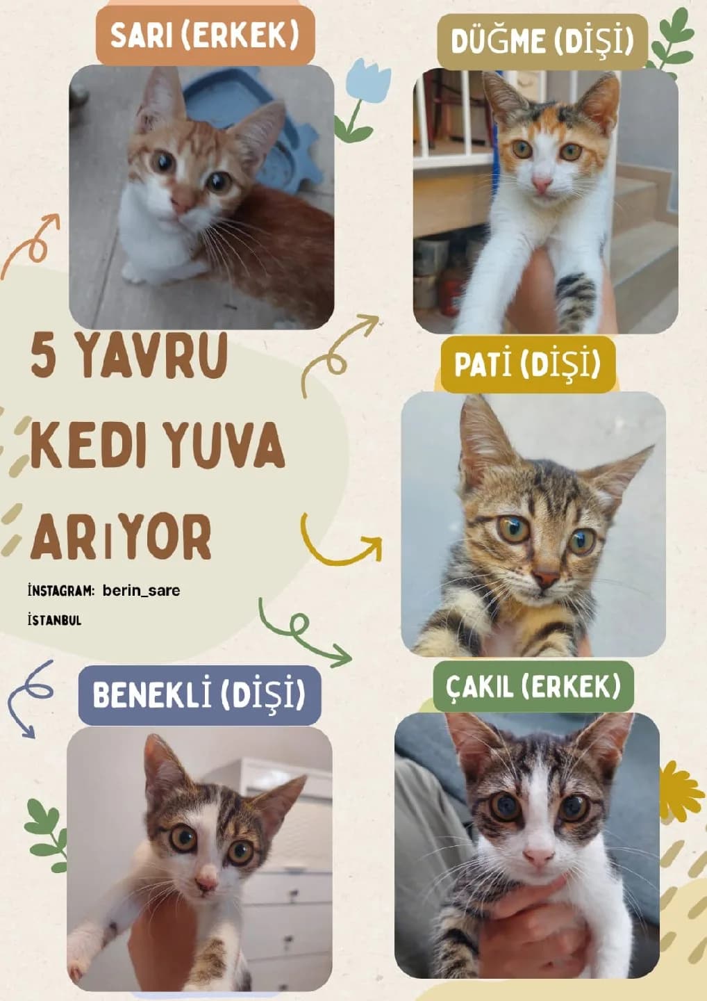 5 yavru acil yuva arıyor