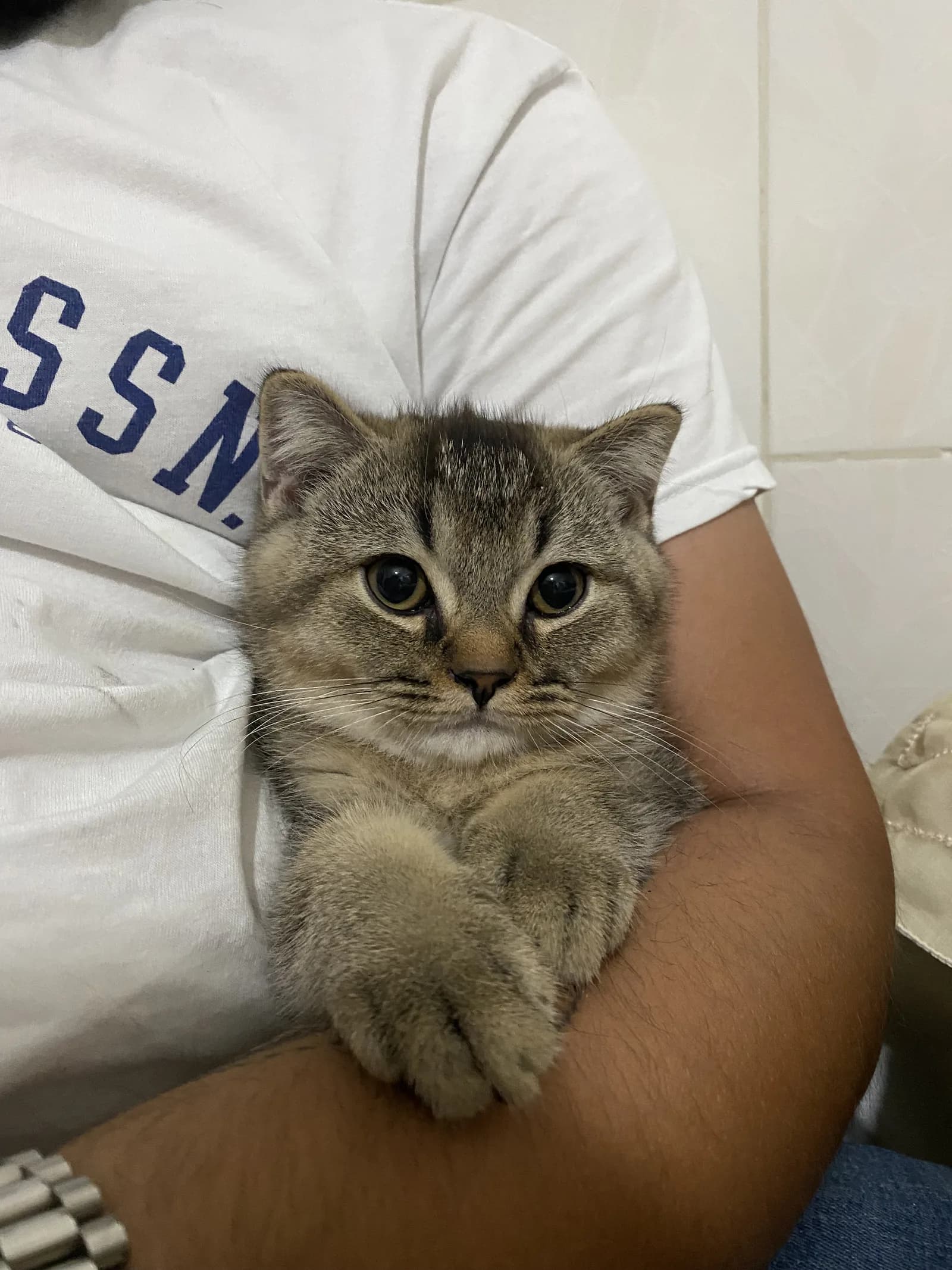 4aylık erkek sevimli enerji dolu