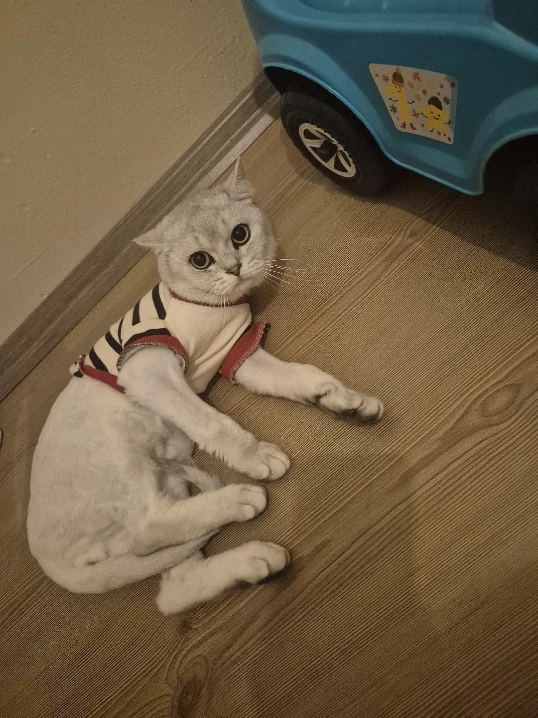 sevgi dolu bir aille arıyorum