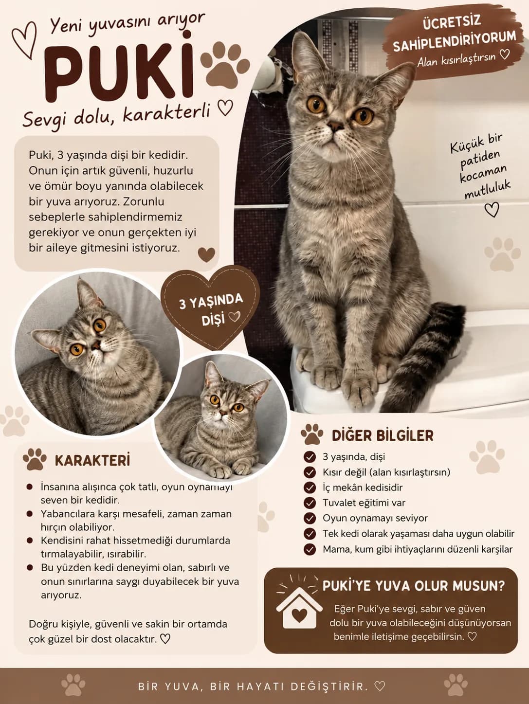 Puki’m yeni yuvasını arıyor