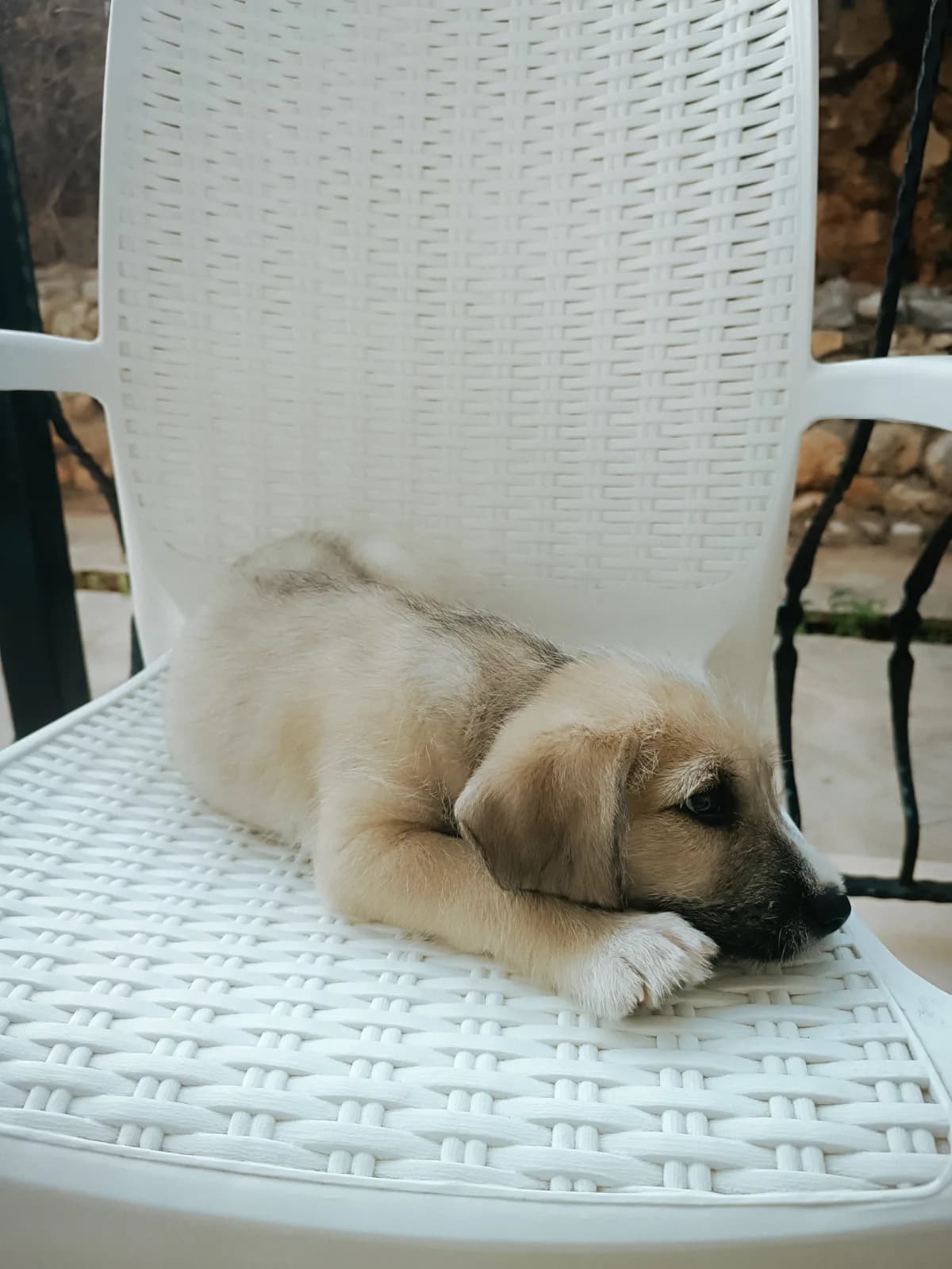 Oğlumuza keyifli bir yuva arıyoruz
