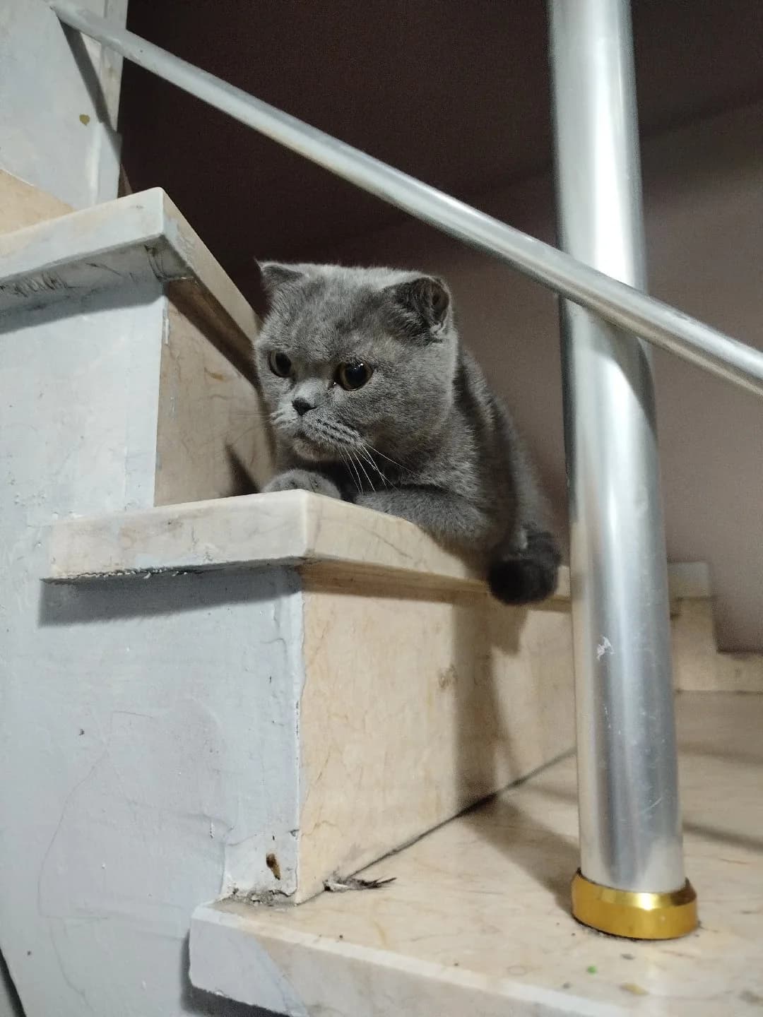 Sokağa atılan kızımıza ömürlük yuva arıyoruz