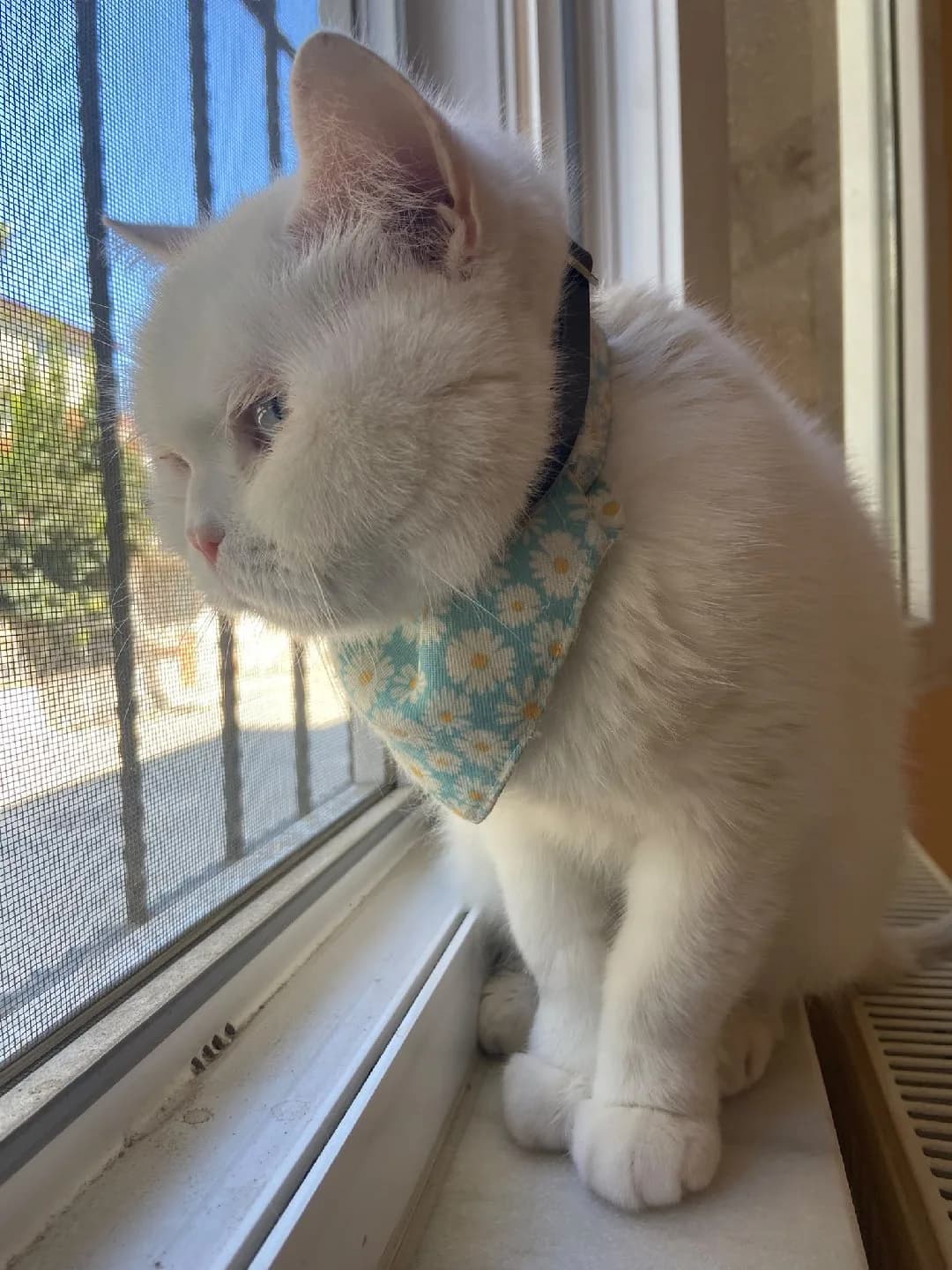 uysal sevecen kıza sevgi dolu yuva arıyoruz 💞