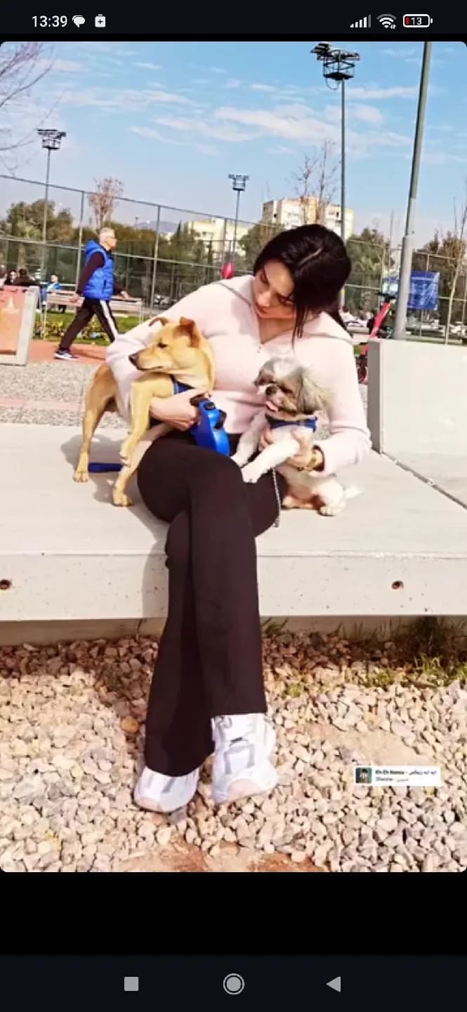 iki köpeğim de sahipendirilecektir
