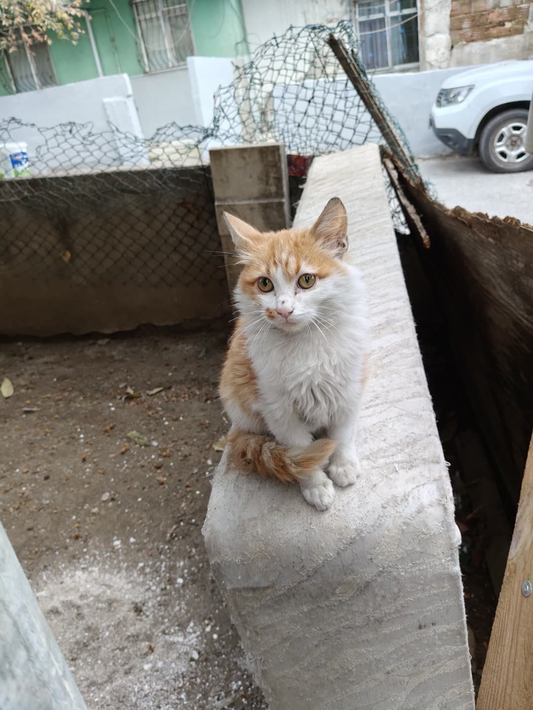 Annesiz Kardeşlere Yuva