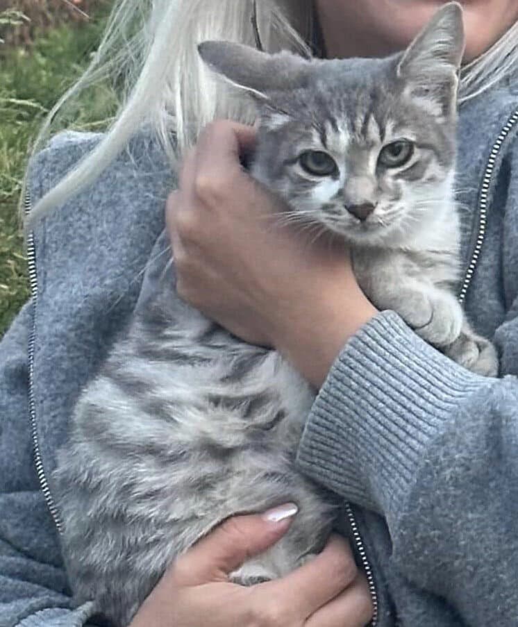 6 aylık erkek yavru ACİL YUVA