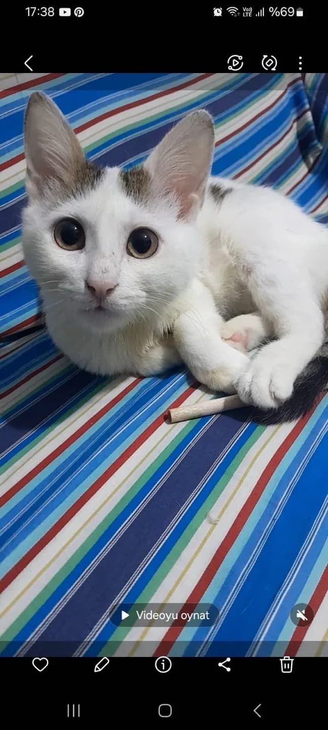 KALICI YUVA ARANIYOR