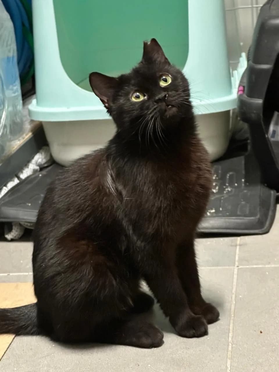 TERK EDİLMİŞ GÜZELLİĞE YUVA