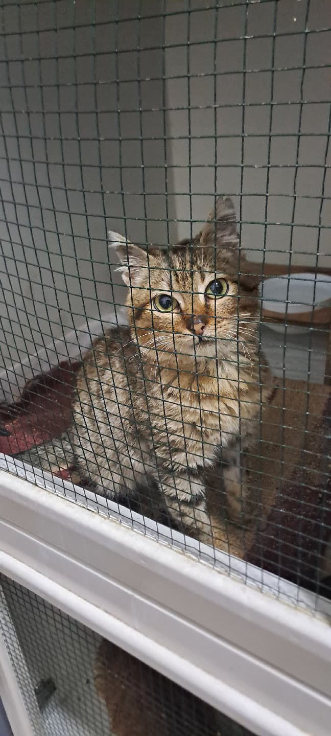 sarılmayı seven minik