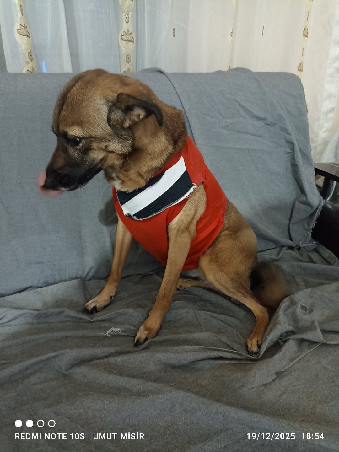 ACİL SAHİPLENDİRME ÇOK ACİL