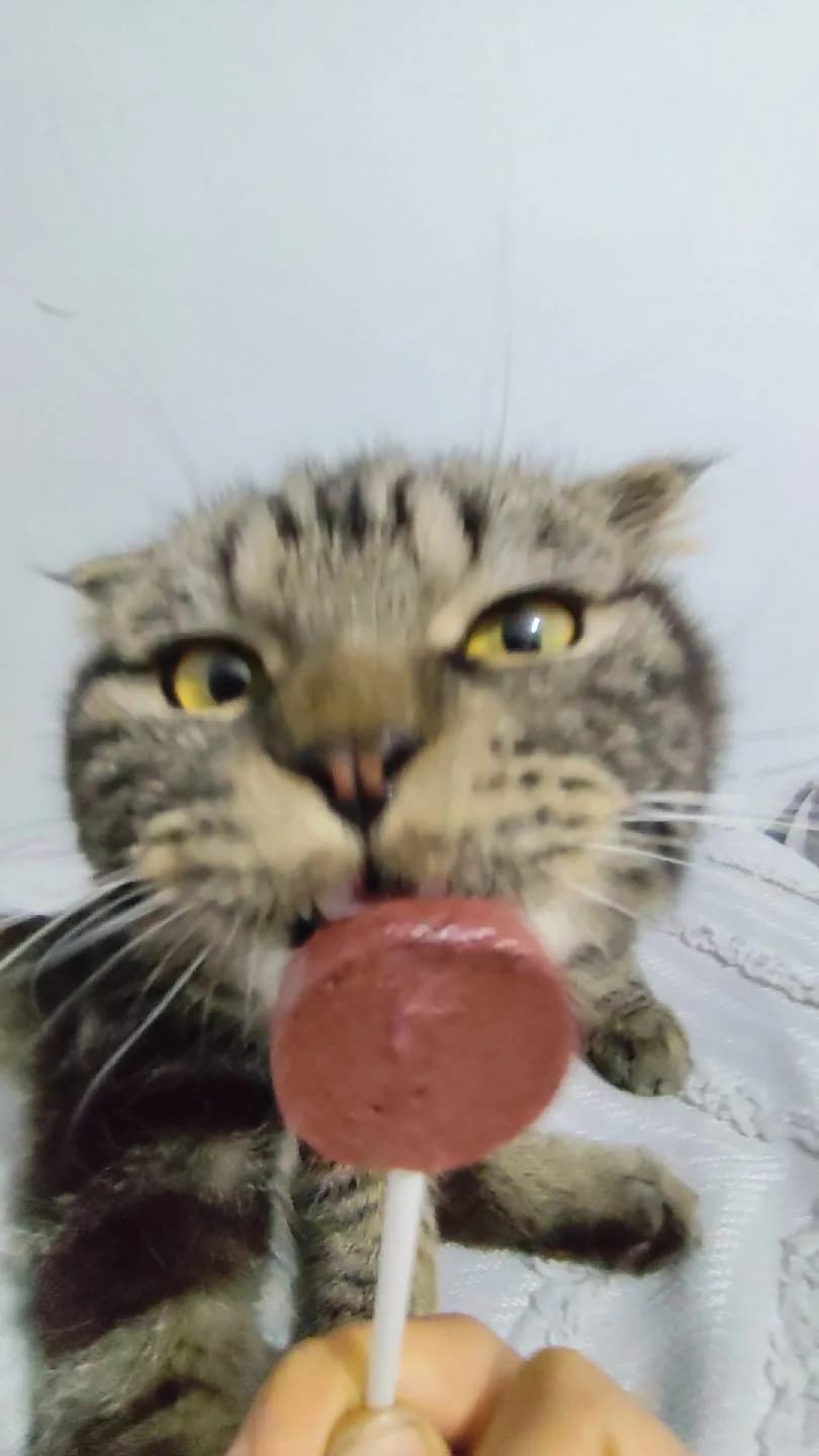 kömür sıcak yuvasını arıyor