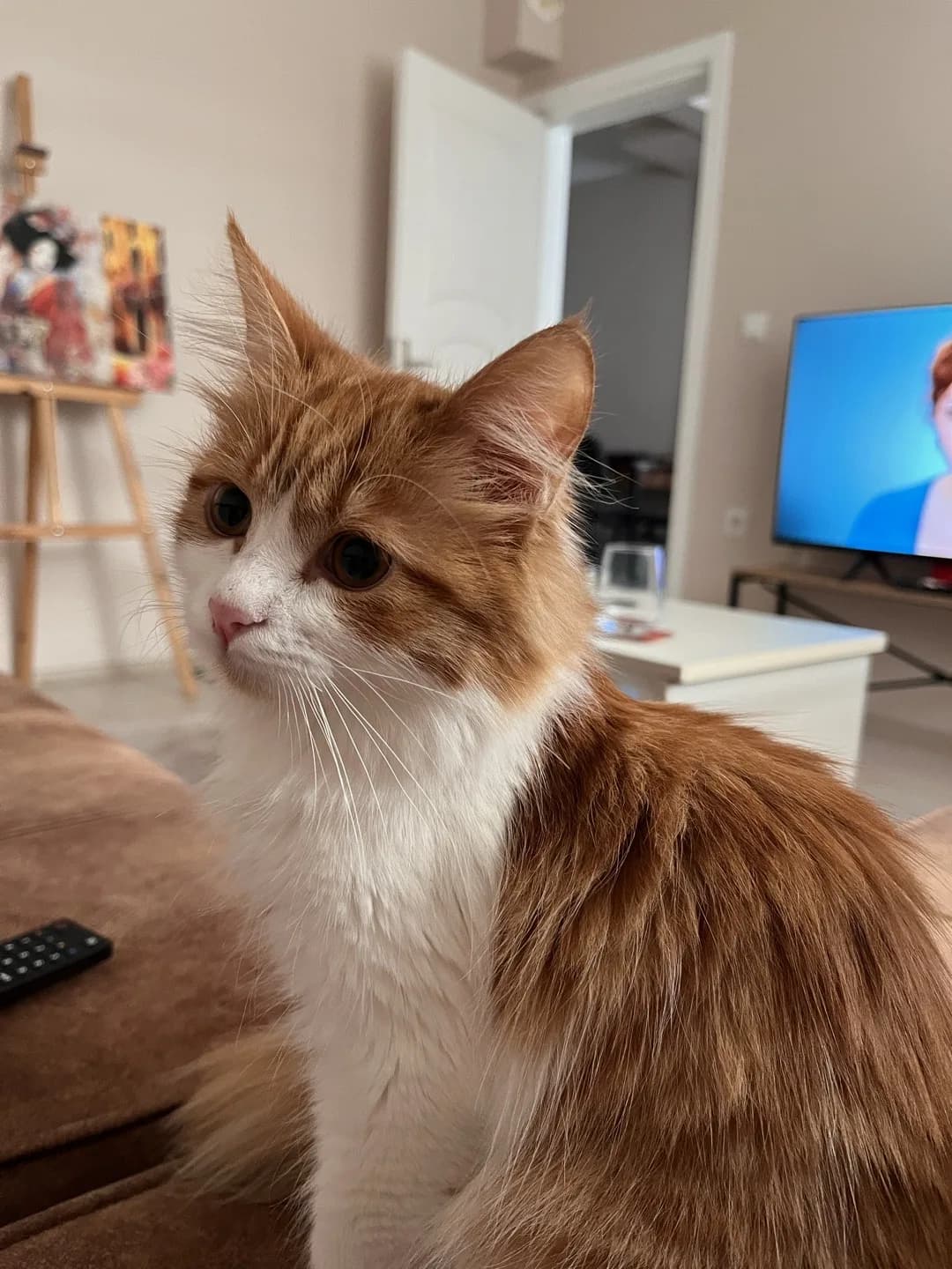 Haşmet’e Güzel bir Yuva