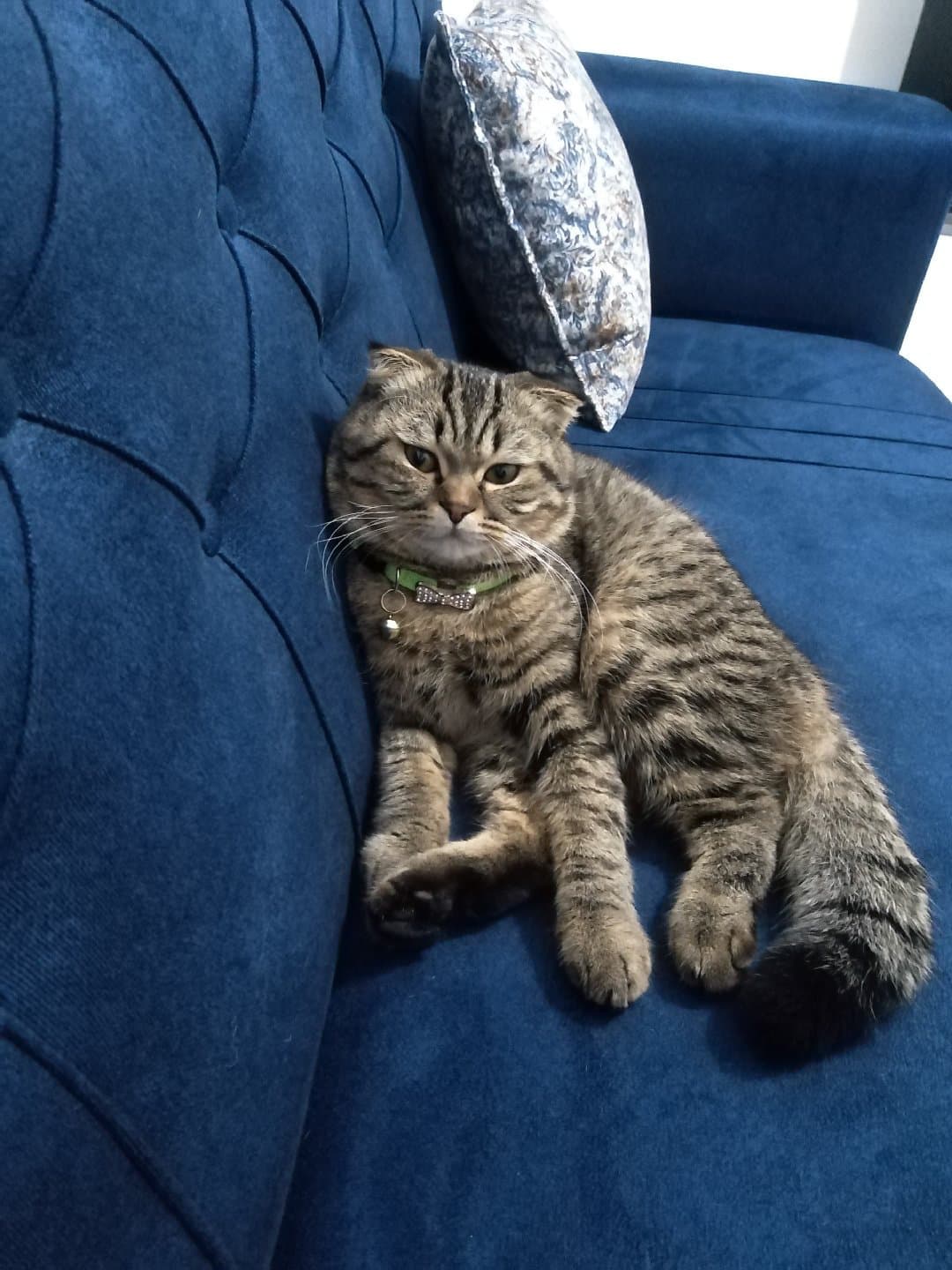 2.5 yaşındayım adım patron