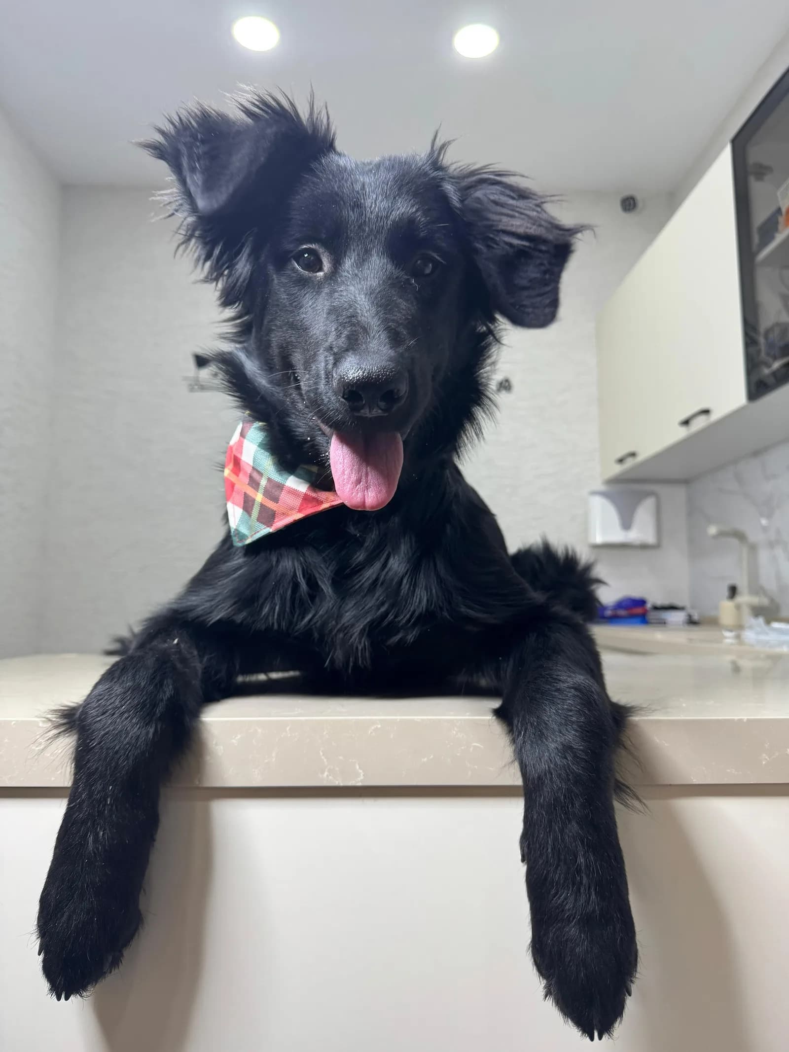 Malin'in ömürlük yuvasını arıyoruz