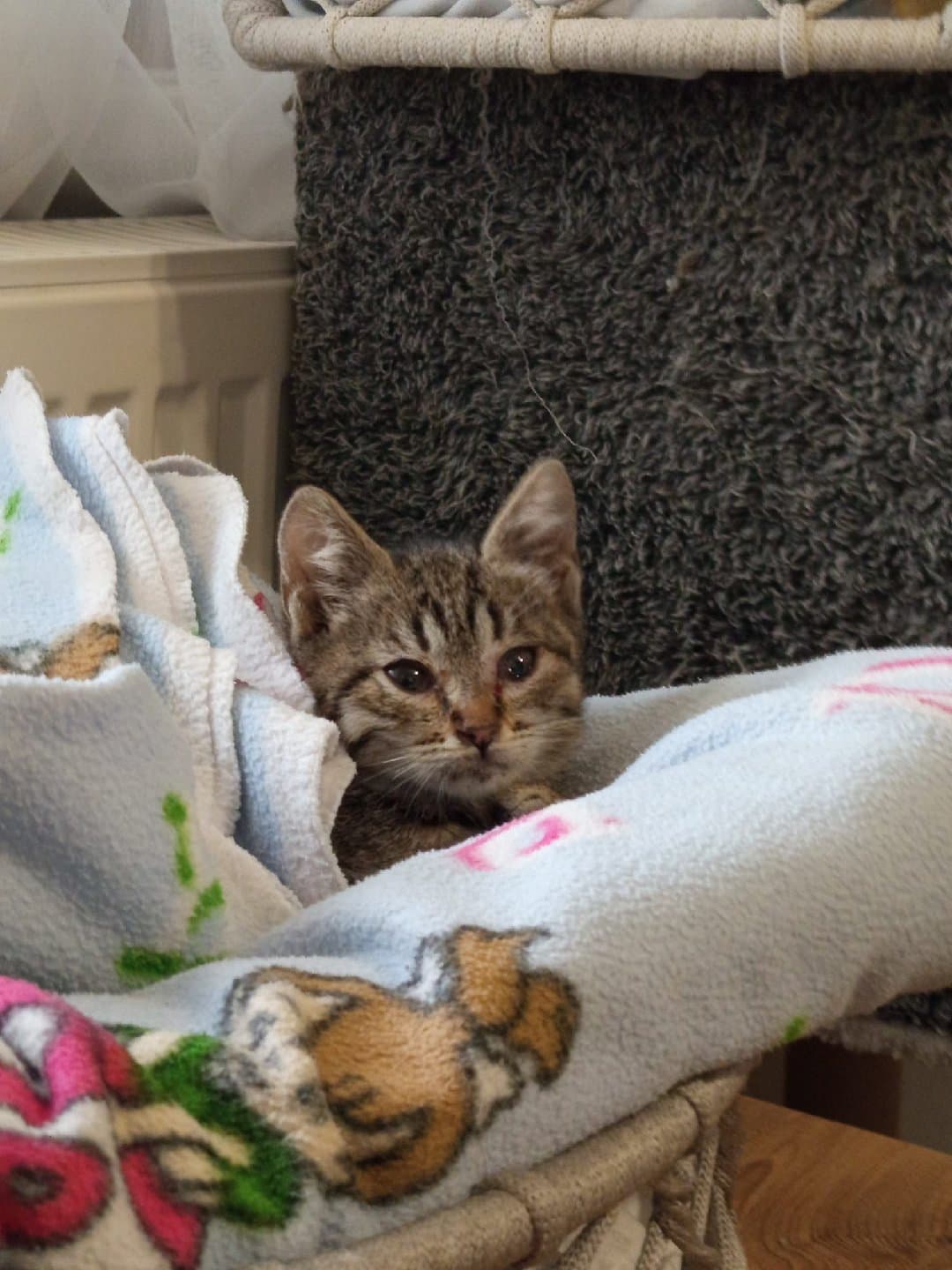 minik kıza ömürlük yuvasını arıyorum