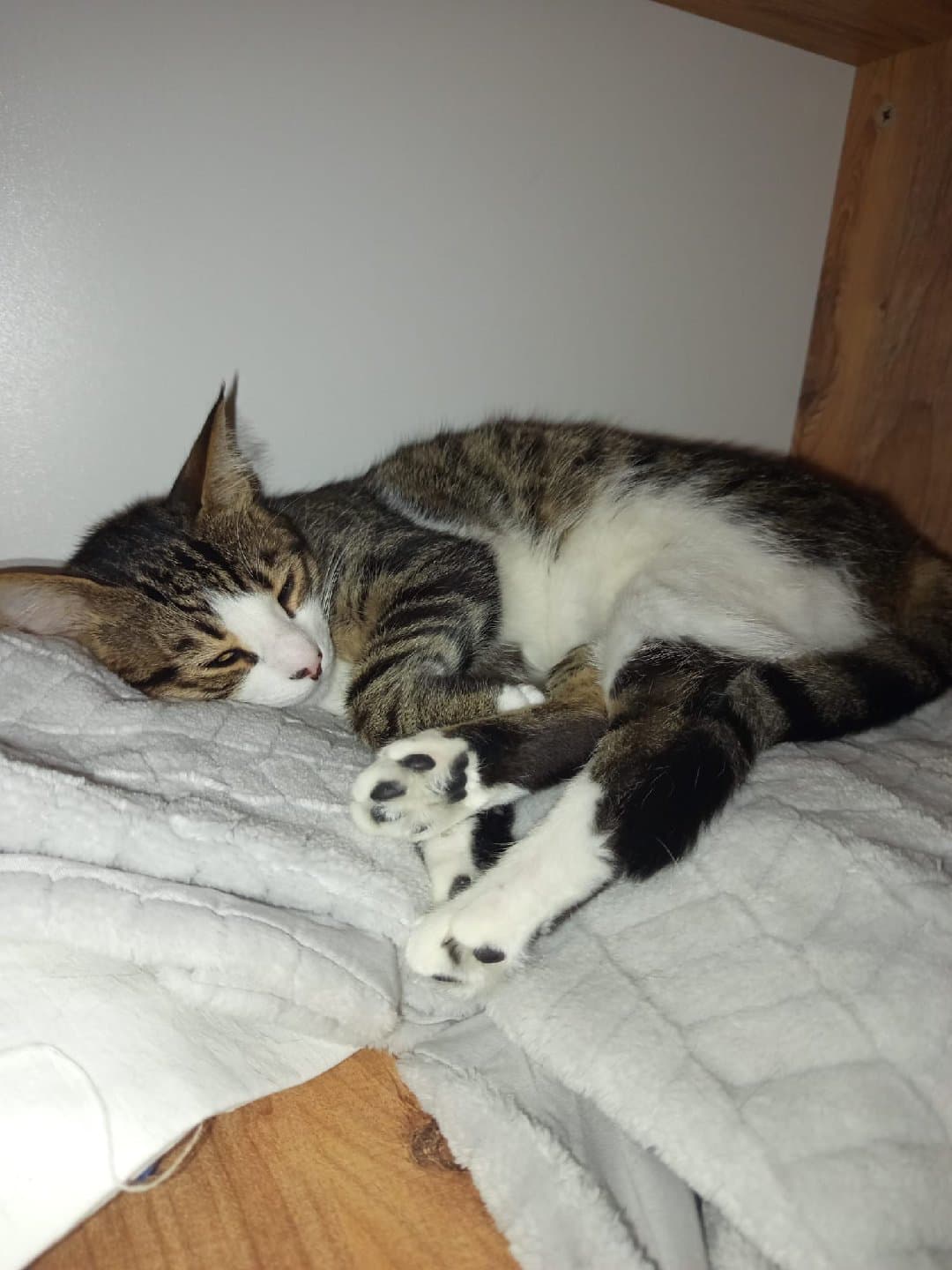 Sevgi bağımlısı kızıma ömürlük ailesini arıyorum