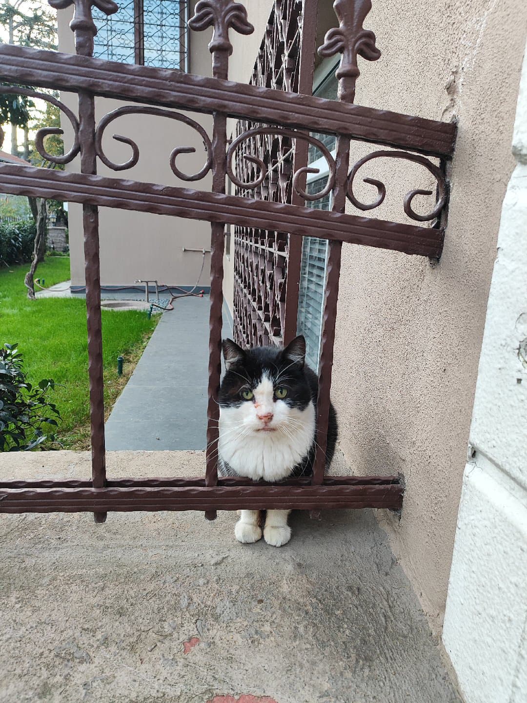 Winter'a Yuva arıyorum