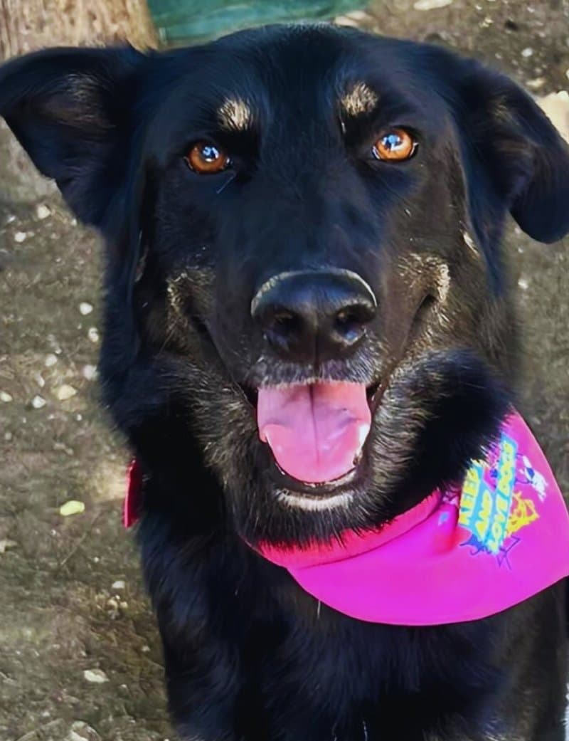 Kızımız Nasya 💕