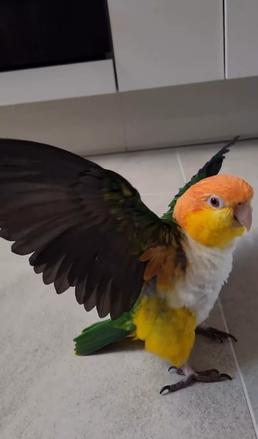 Renklenmeye Hazır Mısınız?