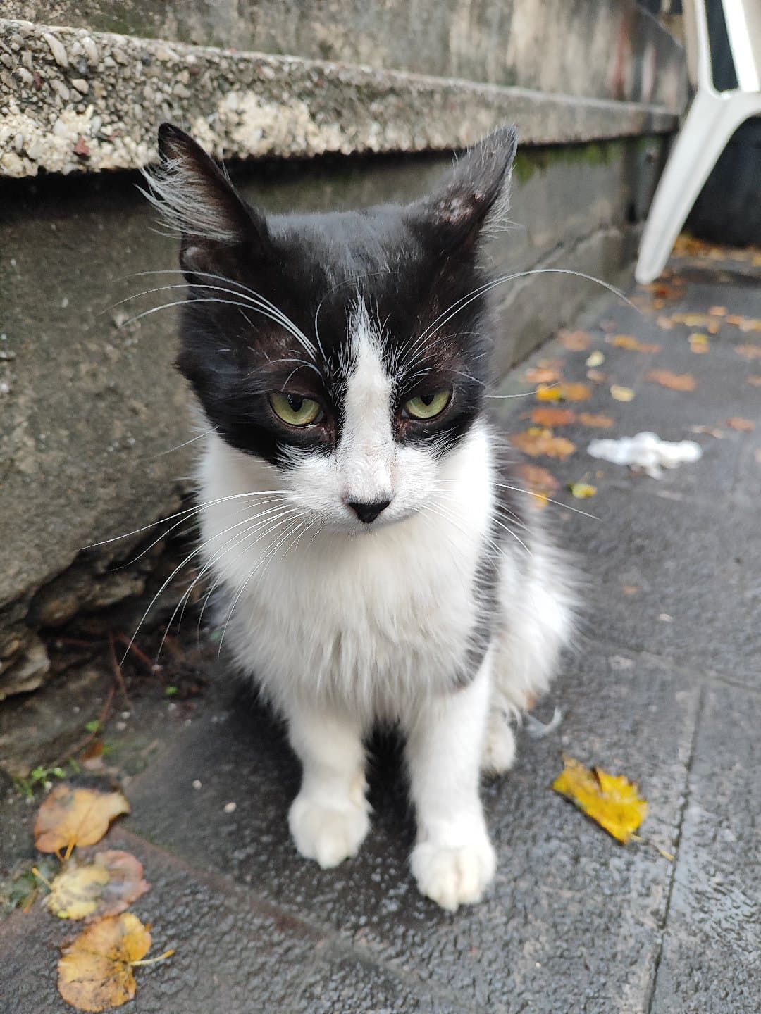 Marla'nın Hikayesi❤️