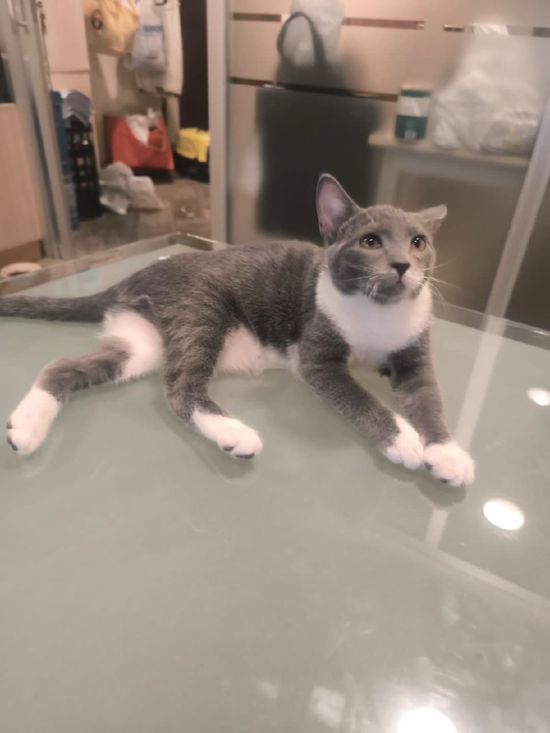 Sevgi Dolu Bir Kucak Arıyor ❤️