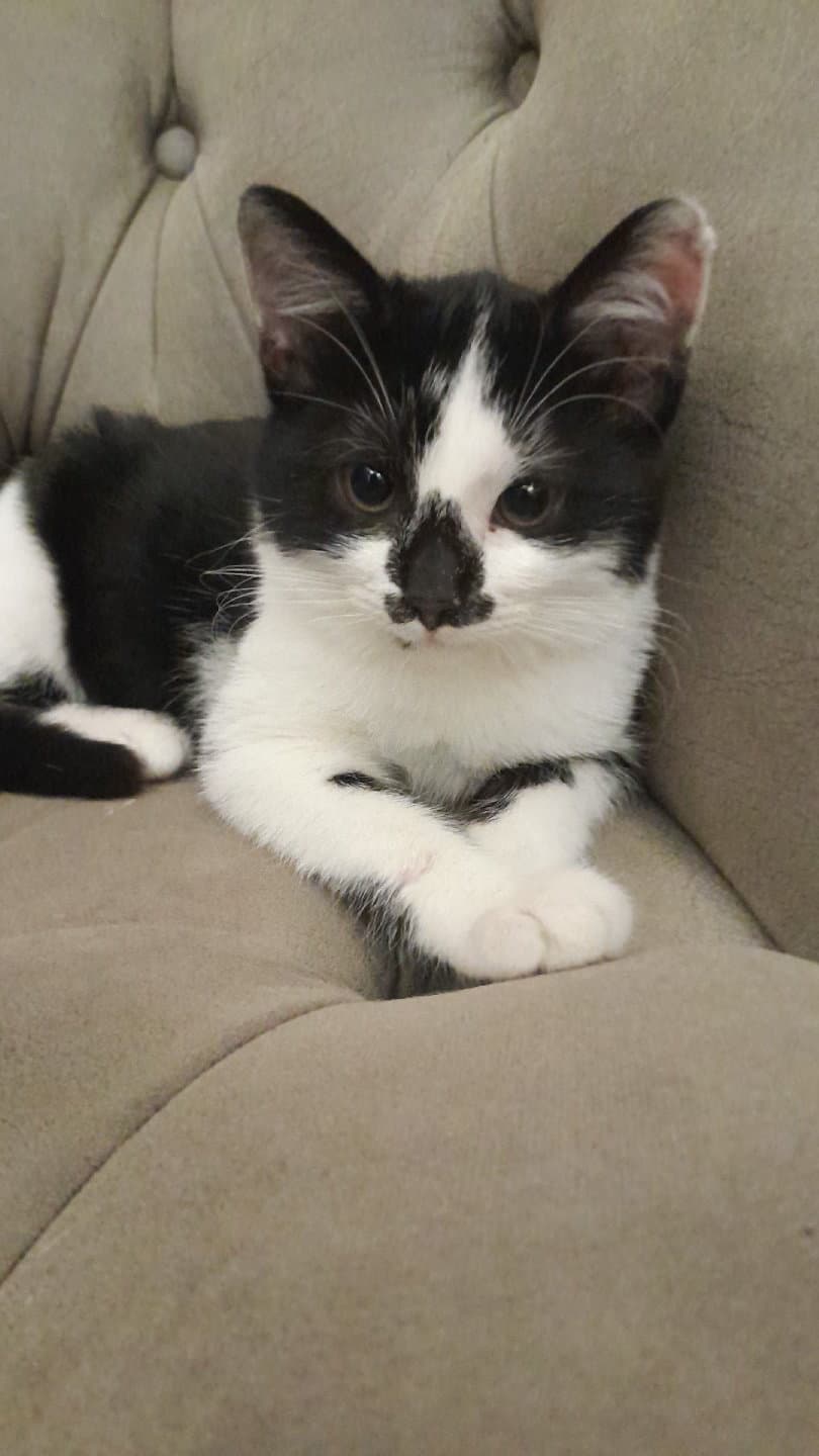 Kucakçı,sevecen oğlumuza yuva arıyoruz