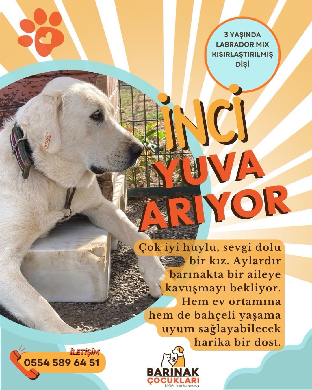 Inci'mizi kurtaralım