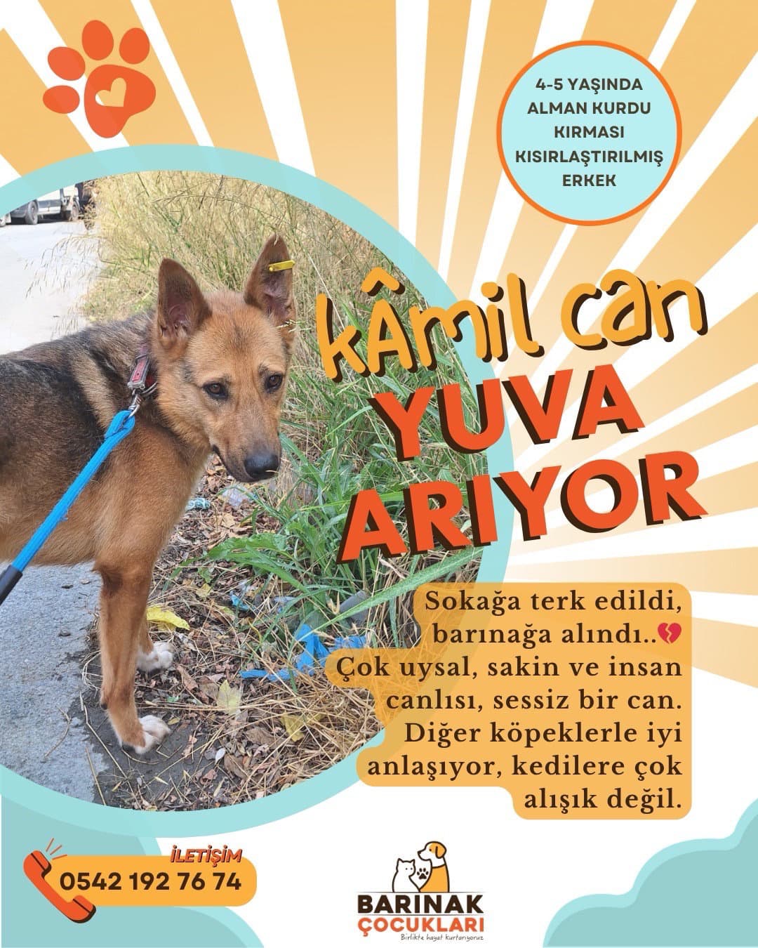 Kamil Can yuva arıyor