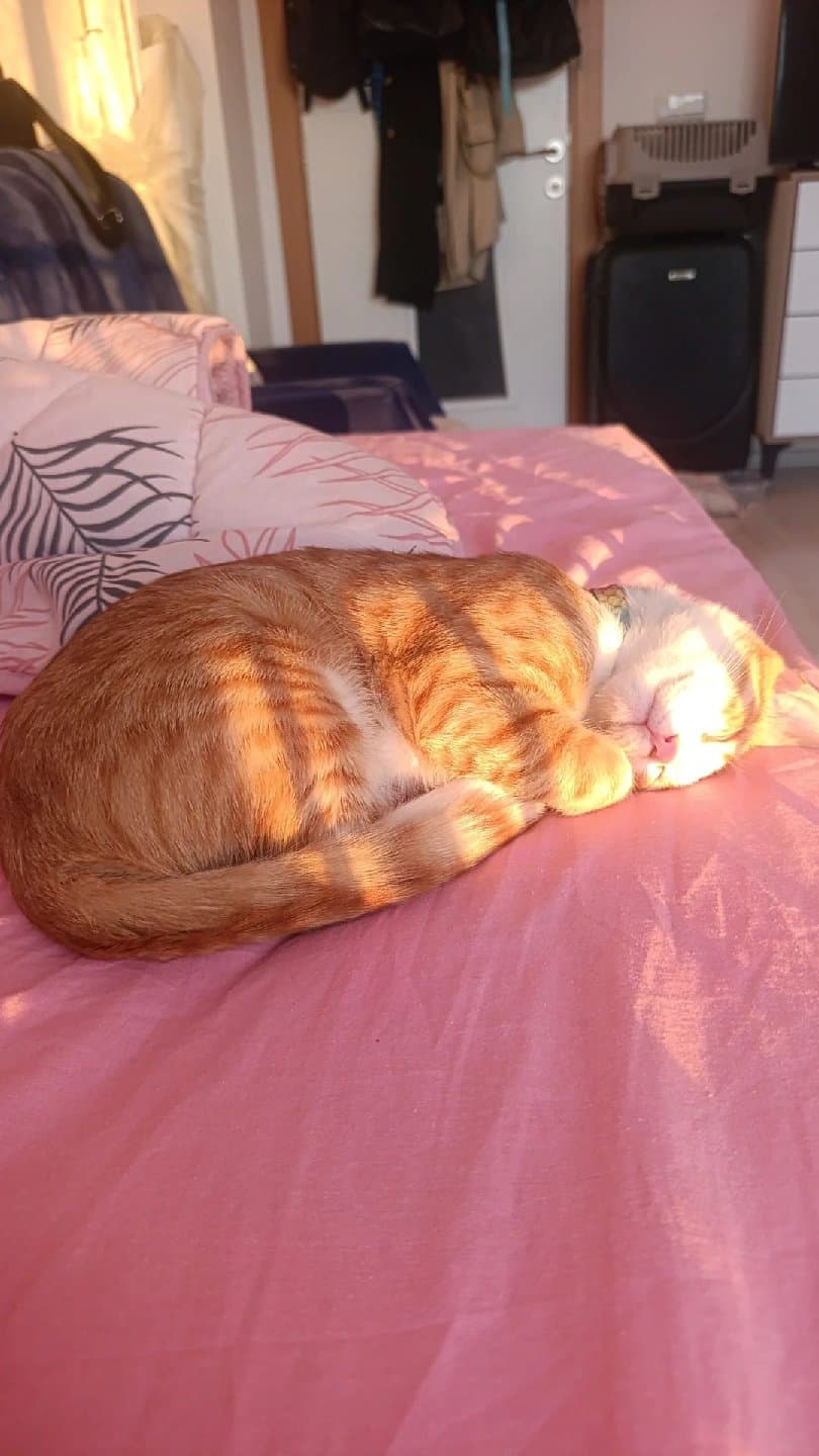 Kendimizi sahiplendiriyoruz