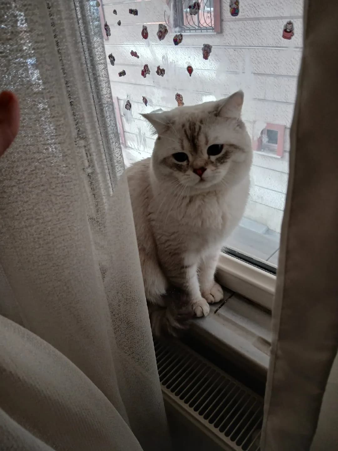 BULUTUMUZA ÖMÜRLÜK YUVA