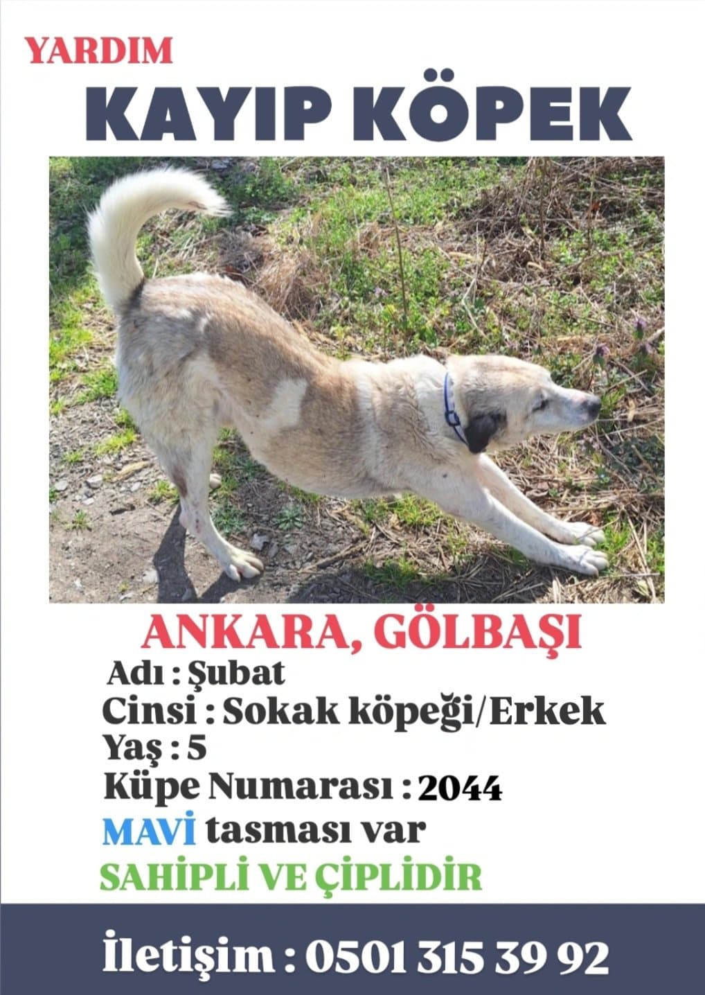 KAYIP ANKARA GÖLBAŞI dikilitaş