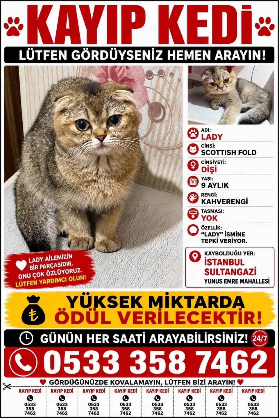 Gören veya bulan lütfen günün her saati arasın.
