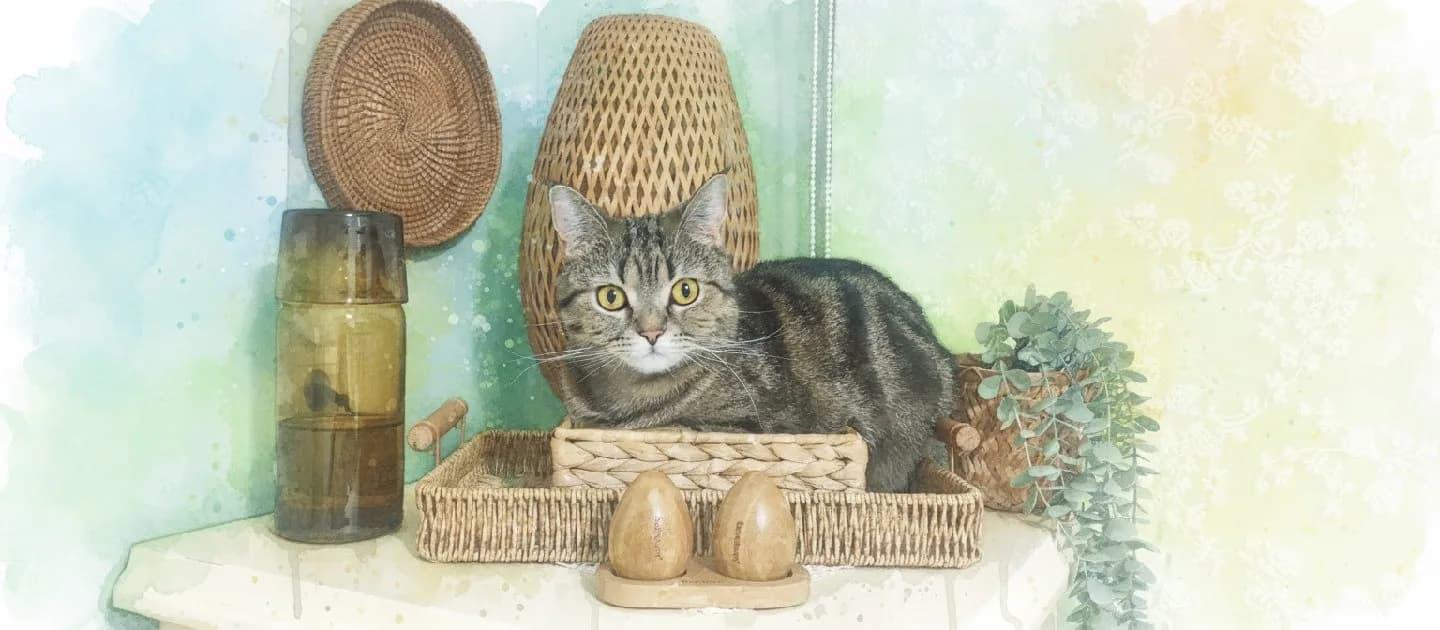 parla fotoğrafı