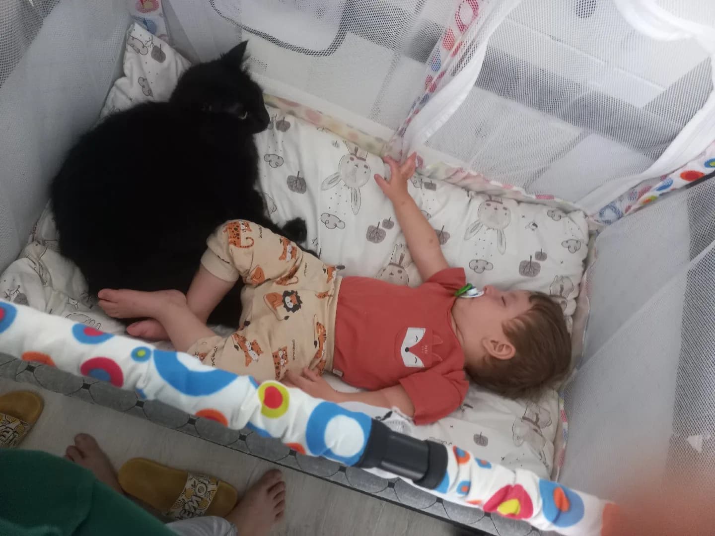 Foto de şinasi
