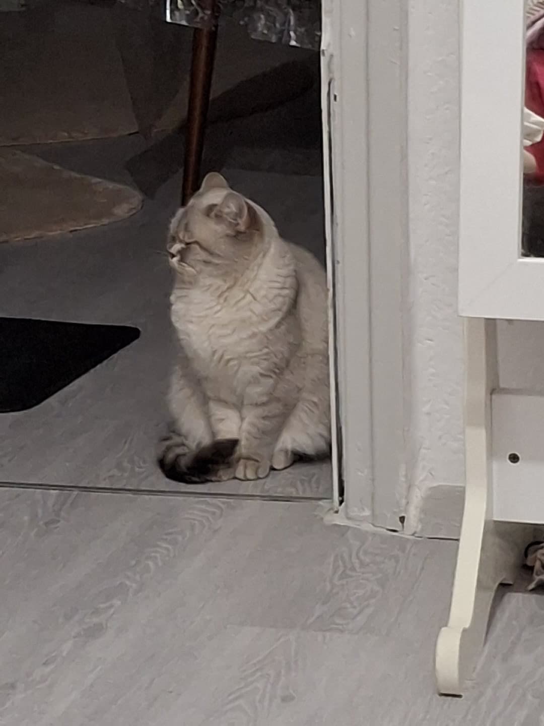 badem fotoğrafı