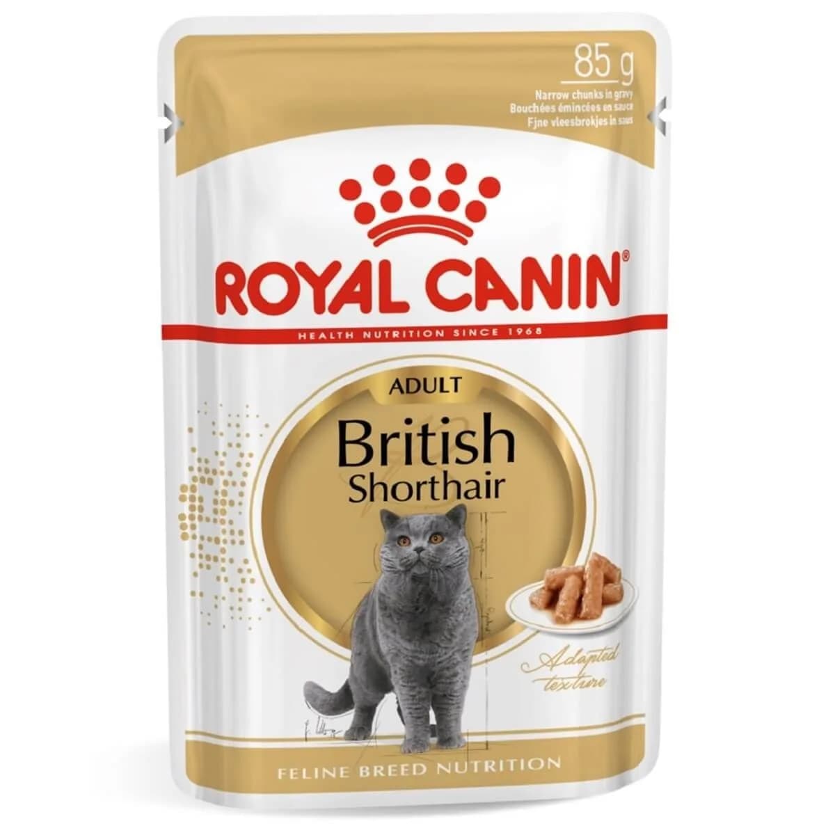 royal-canin-british-shorthair-yetiskin-bea44e (1).jpg
