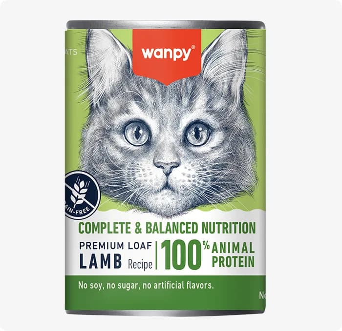 Wanpy-Wanpy-Complete-Lamb-Premium-Pate-1.png