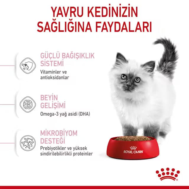 royal-canin-kitten-kuru-mama-7.jpg