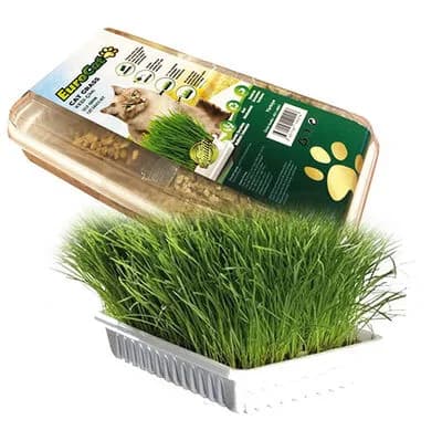 eurogold-cat-grass-sindirim-ve-tuy-yumagi-destekleyen-kedi-cimi-sindirim-sistemi-eurogold-58416-79-O.jpg